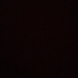 Meet your Posher, Austinia